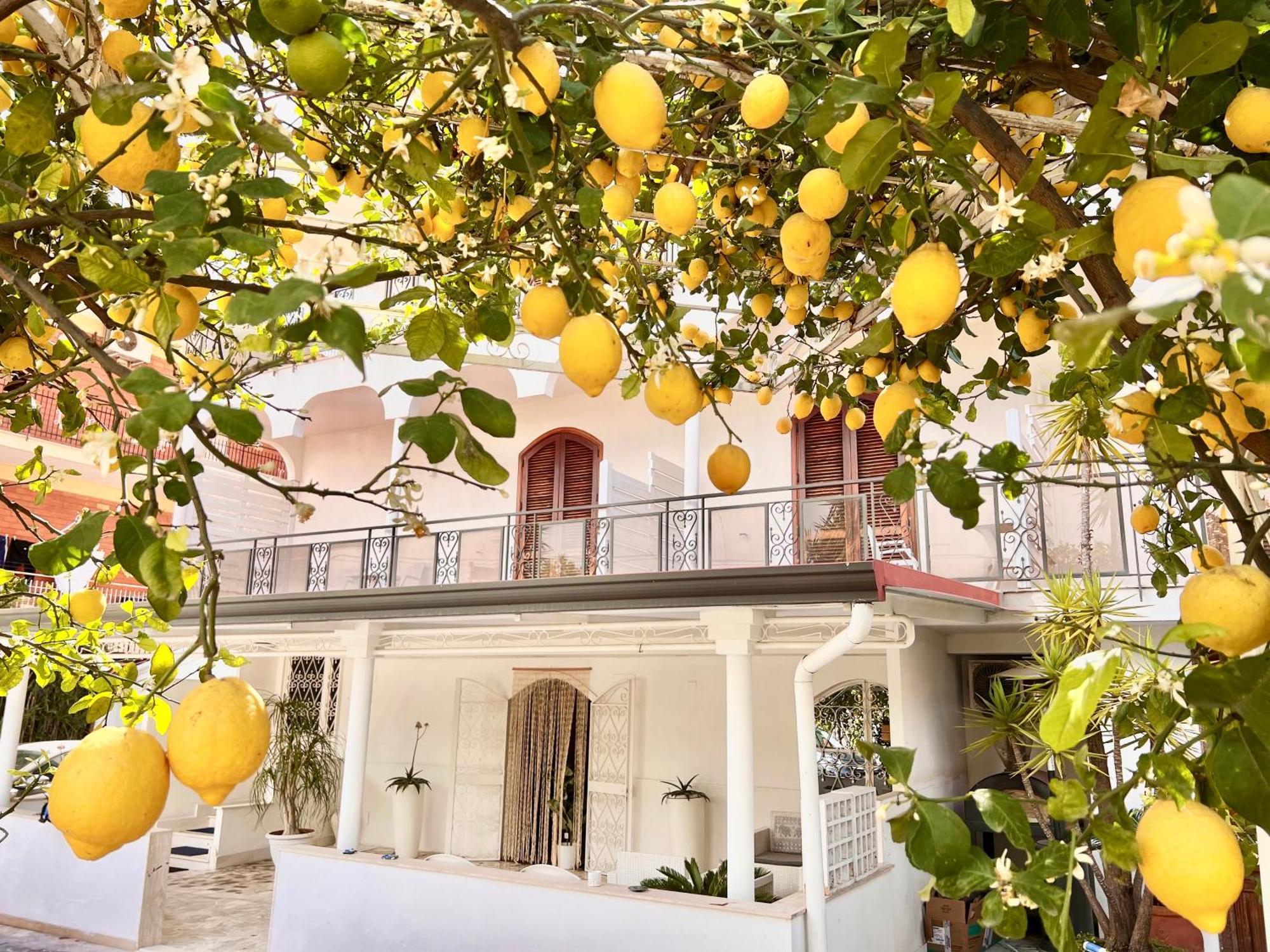 Villa Miriam Ґраньяно Екстер'єр фото